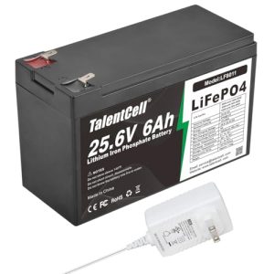 24 Volt Battery Ride on Toys