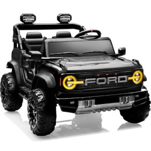24 Volt Electric Ride on Toys