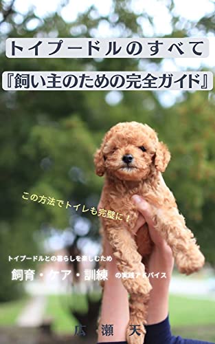 All About Toy Poodles