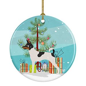 American Toy Fox Terrier