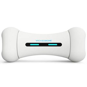 App Controlled Dog Toy