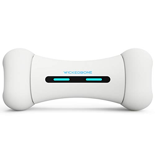 App Controlled Dog Toy