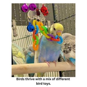 Are Diy Bird Toys Safe for My Parakeet