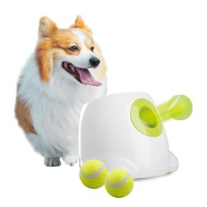 Auto Fetch Toy for Dogs