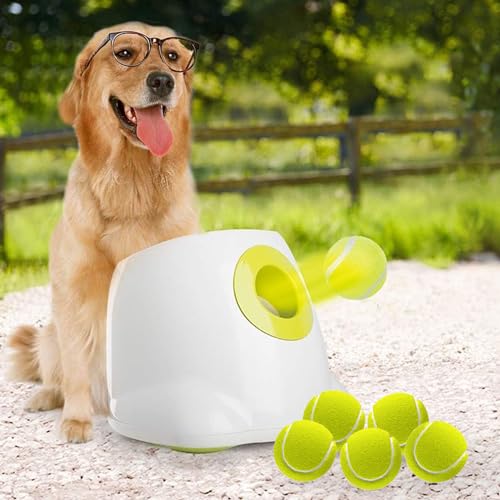 Automatic Fetch Dog Toy
