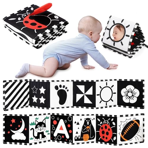 Baby Development Toys 0-6 Months
