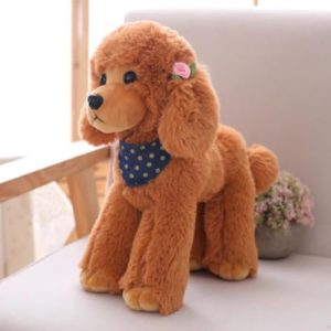 Bella'S Red Toy Poodles