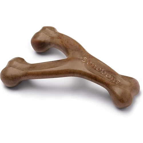 Best Chew Toy for Small Dogs