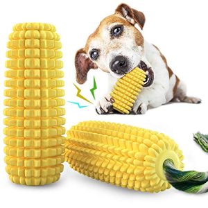 Best Chew Toys for Big Puppies