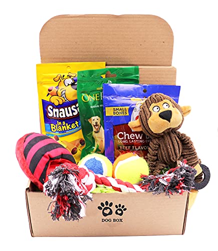 Best Dog Toy Subscription Box
