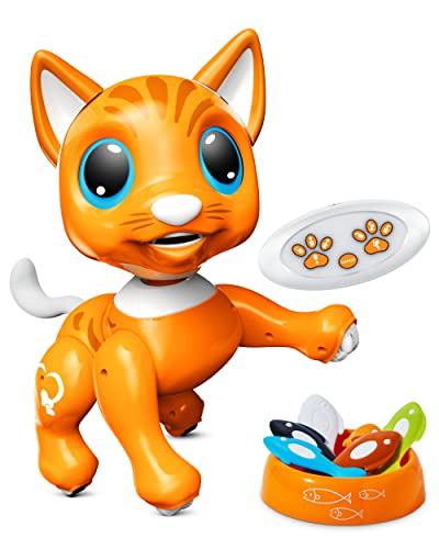 Best Robot Cat Toy