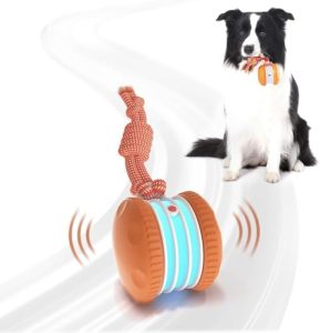 Best Toy Dogs to Own