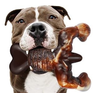 Best Toys for a Pitbull