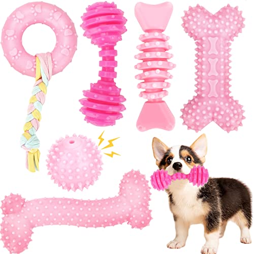 Best Toys for Chewing Puppies