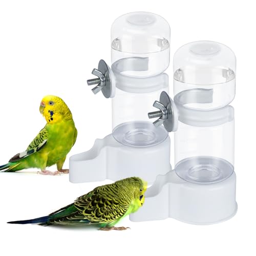 Bird Toy That Drinks Water
