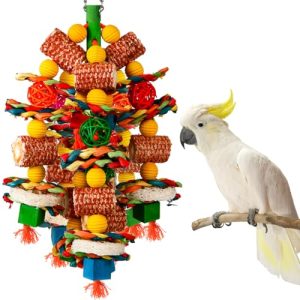 Bird Toys for Parrot