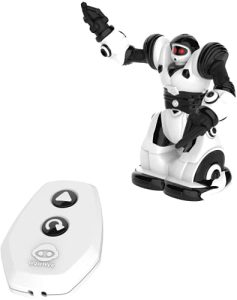 Black White Robot Toy