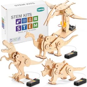 Build a Wooden Toy