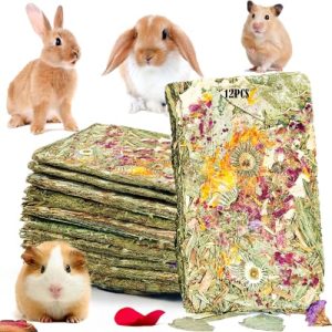 Bunny Toys for Sale