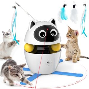 Buy Cat Toys Online