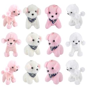 Buy Or Adopt Toy Poodle