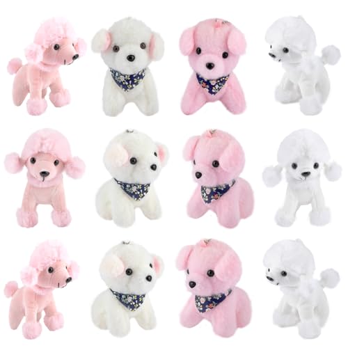 Buy Or Adopt Toy Poodle