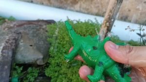 Can You Be Green And Collect Toys