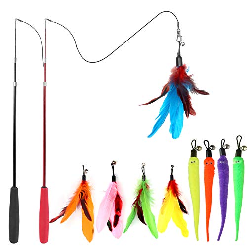 Cat Toy Stick With Feather