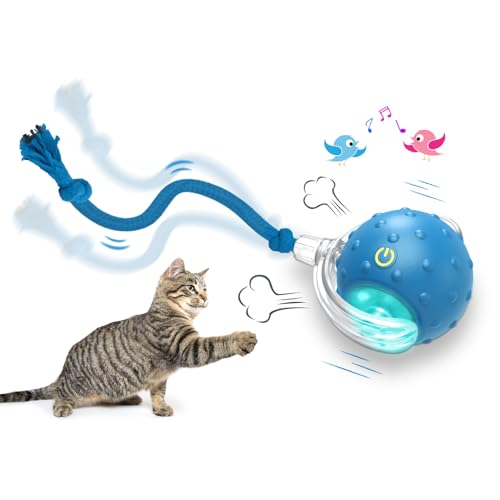 Cat Toy With Wheels