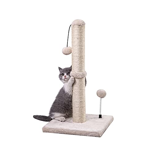 Cat Toys And Scratching Posts