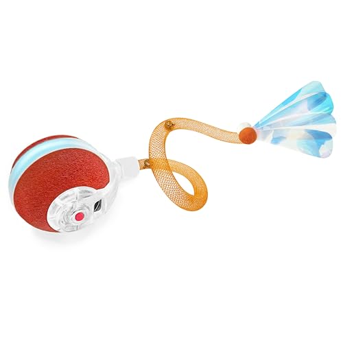Cat Toys for Enrichment