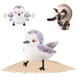 Cat Toys for Hyper Cats