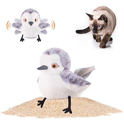 Cat Toys for Hyper Cats