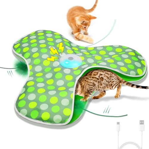 Cat Toys for Hyperactive Cats