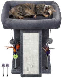 Cat Trees And Toys
