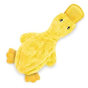 Cheap Dog Toys near Me
