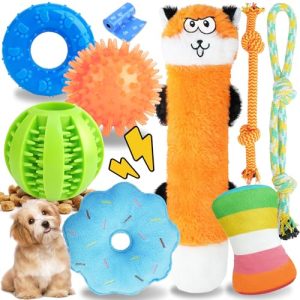 Cheap Toys for Puppies