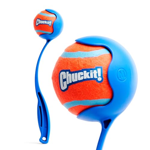 Chuck It Dog Toy