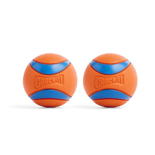 Chunk It Dog Toy