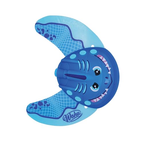 Cool Swimming Pool Toys