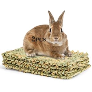 Cool Toys for Rabbits