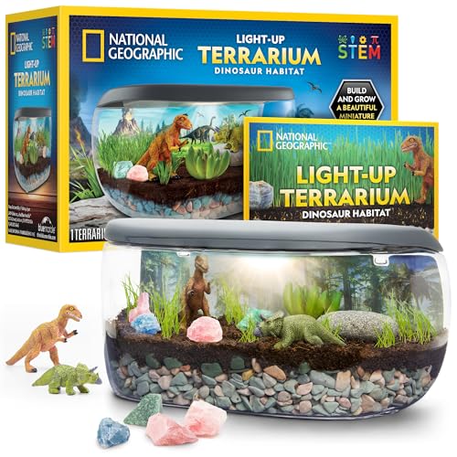 Discovery Toys for Kids