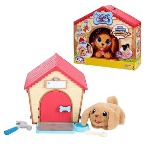 Dog in House Toy