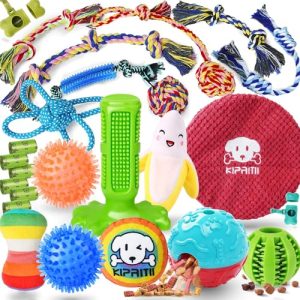 Dog Toy Boxes Monthly