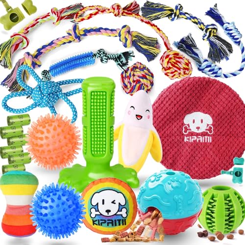 Dog Toy Boxes Monthly