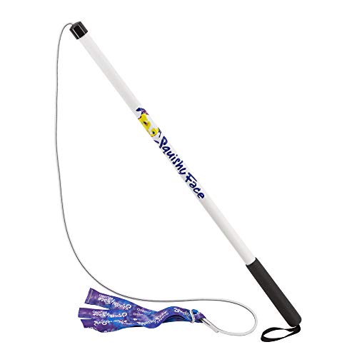 Dog Toy Flirt Pole