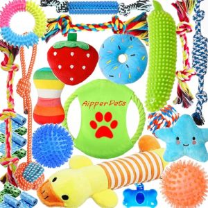 Dog Toy Subscription Boxes