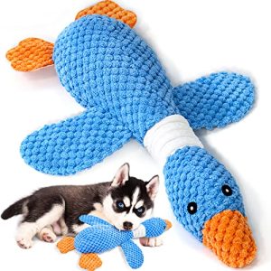 Dog Toys That are Hard to Destroy
