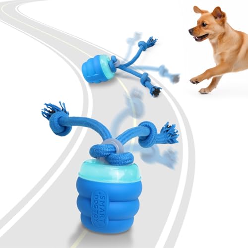 Dog Toys to Entertain Themselves