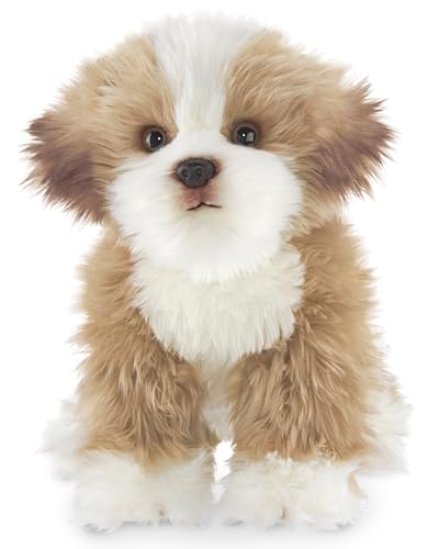 Dogs That Look Like Stuffed Toys
